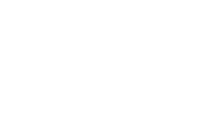 AJ Wayne Insurance logo